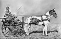 horse and trap